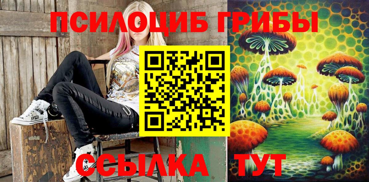 Шахты  Псилоцибиновые грибы MAGIC MUSHROOMS  Вход с VPN  Псилоцибиновые грибы MAGIC MUSHROOMS 